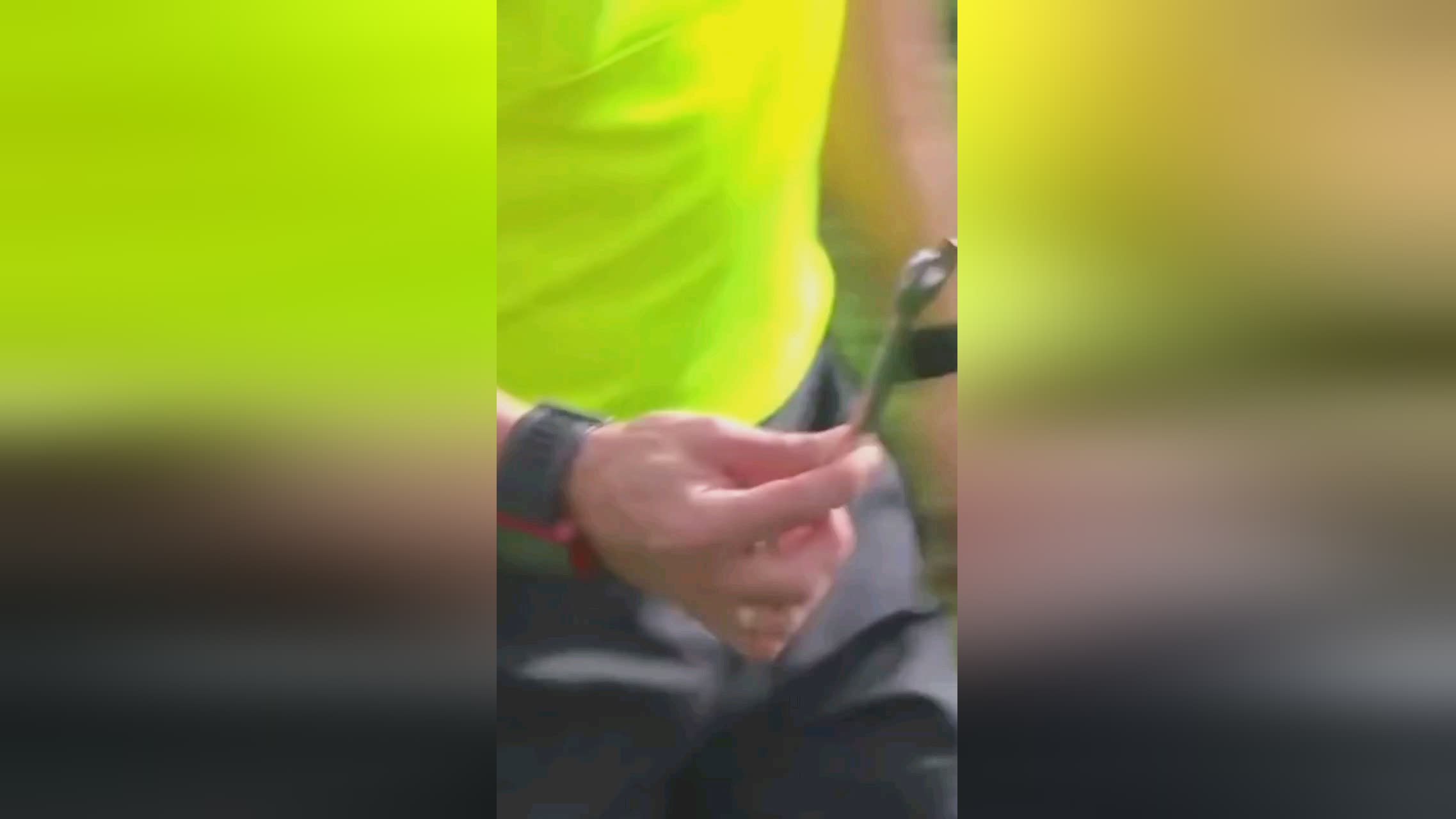 定性瓜迪